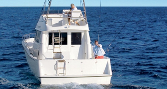 Sea Fishing Banus