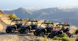 Buggies